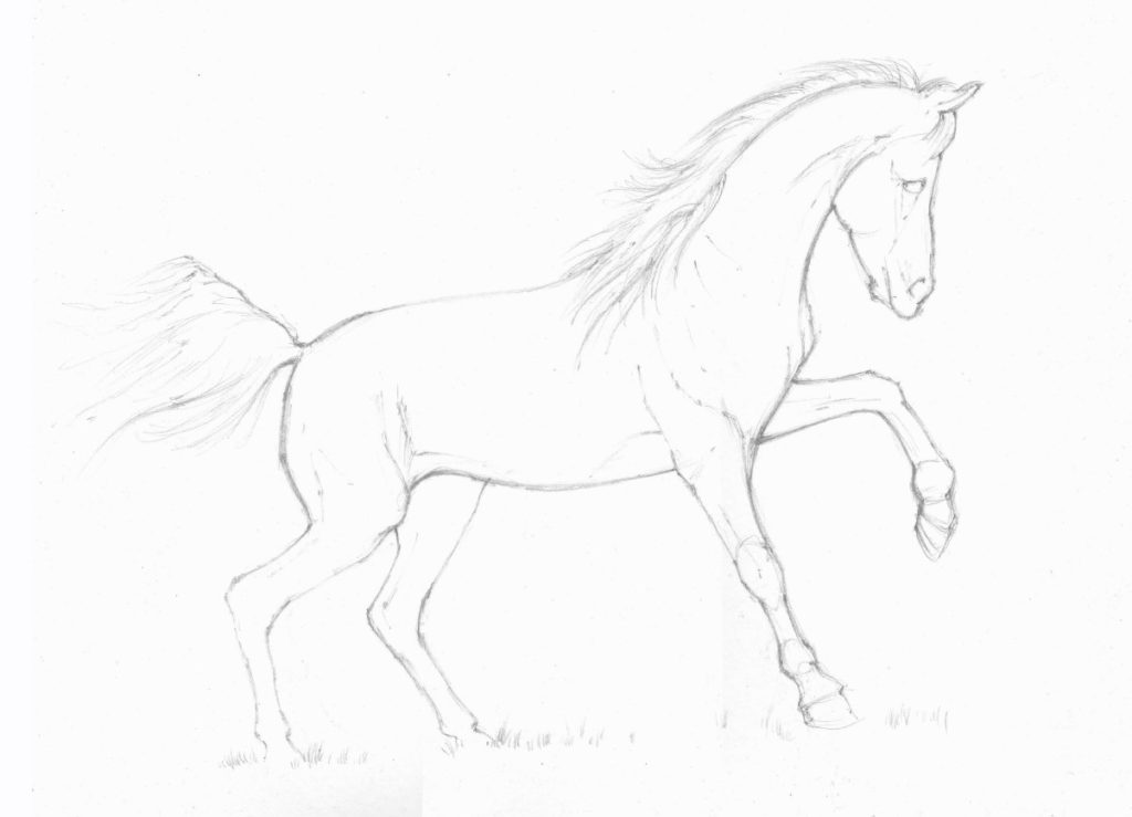 rysowanie konia bokiem