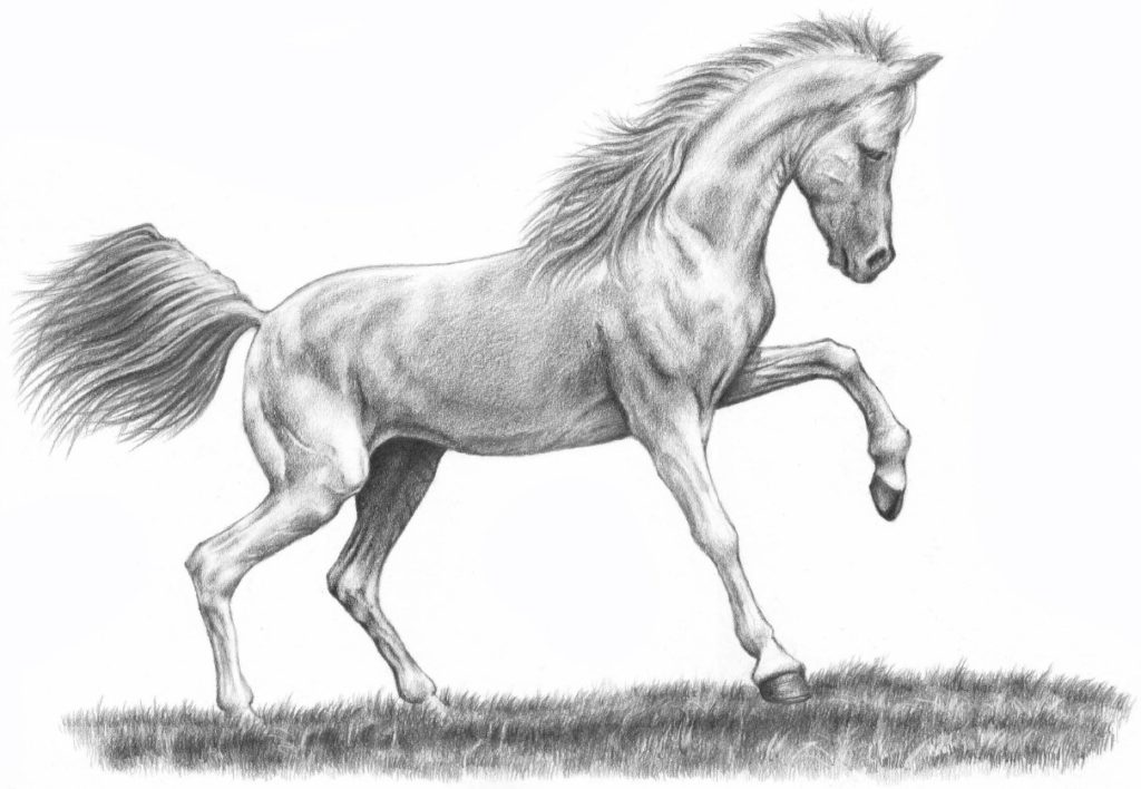rysunek konia dla dzieci