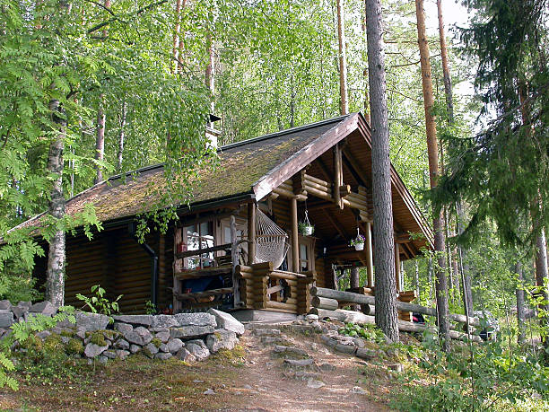 domki fińskie zdjęcie