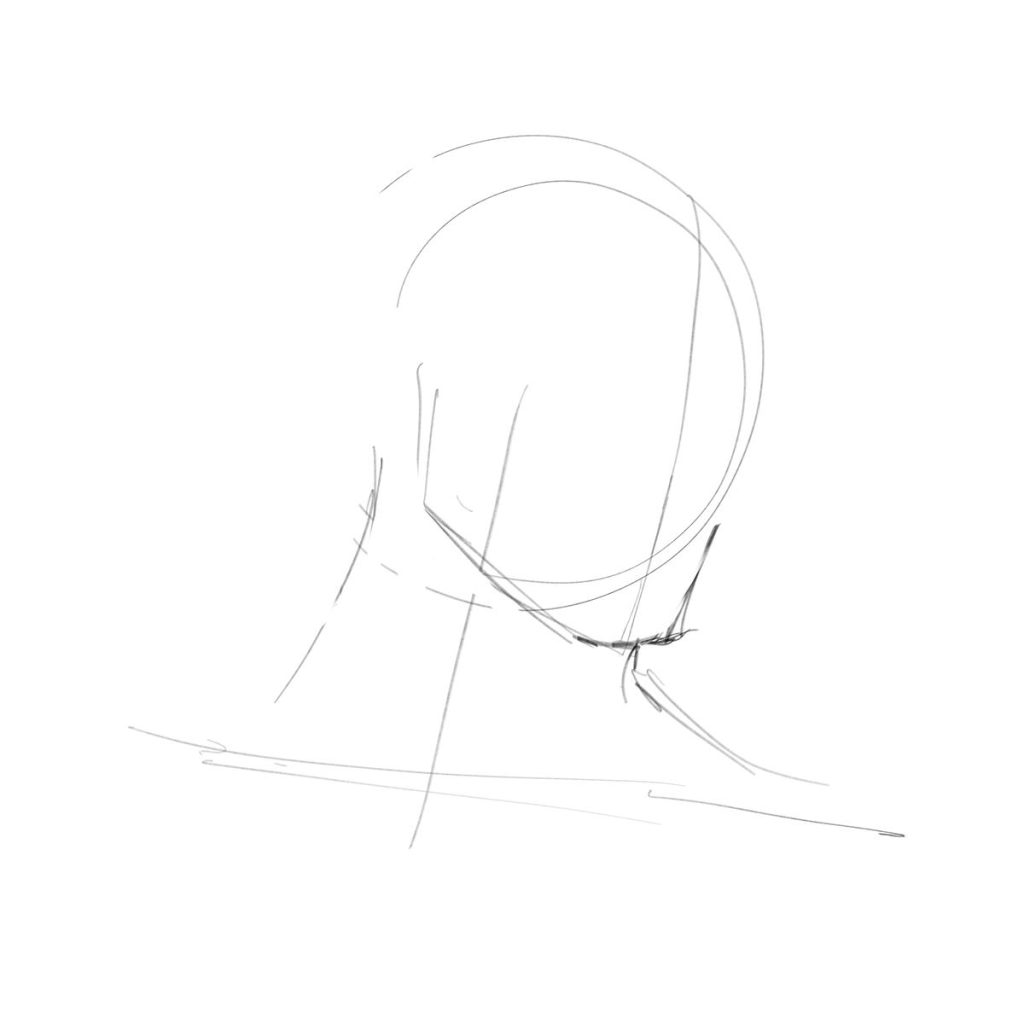 Podrys generalnych kształtów głowy