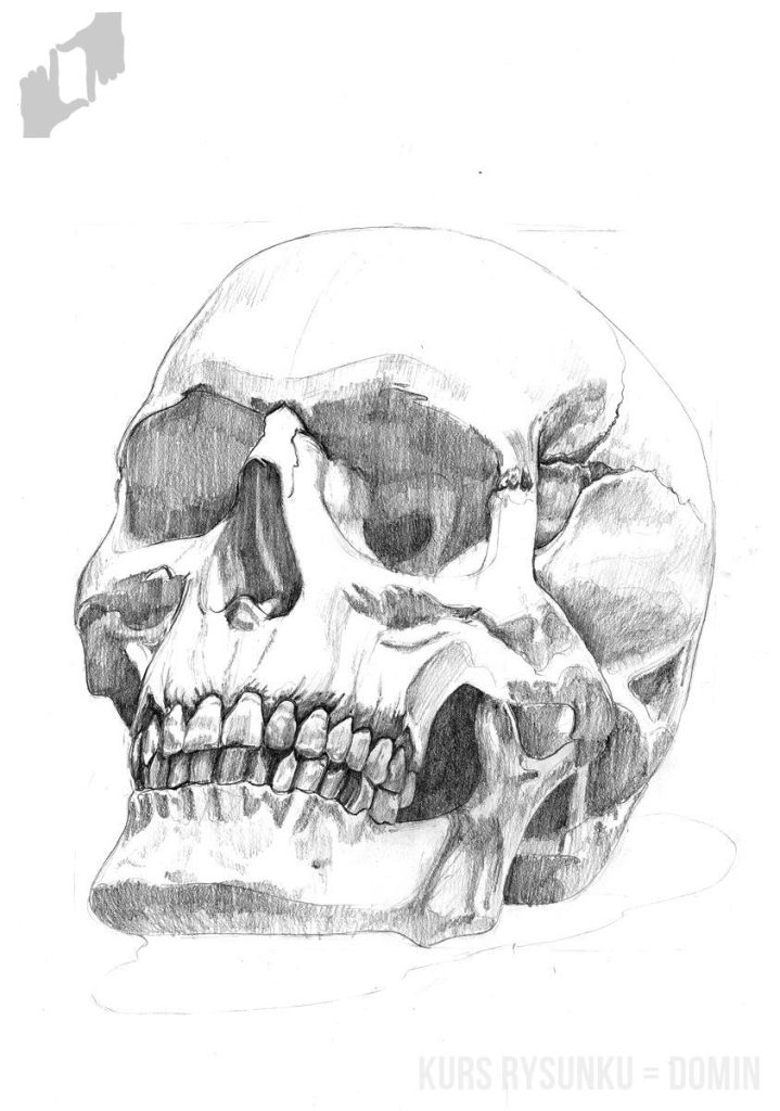 czaszka rysunek łatwy