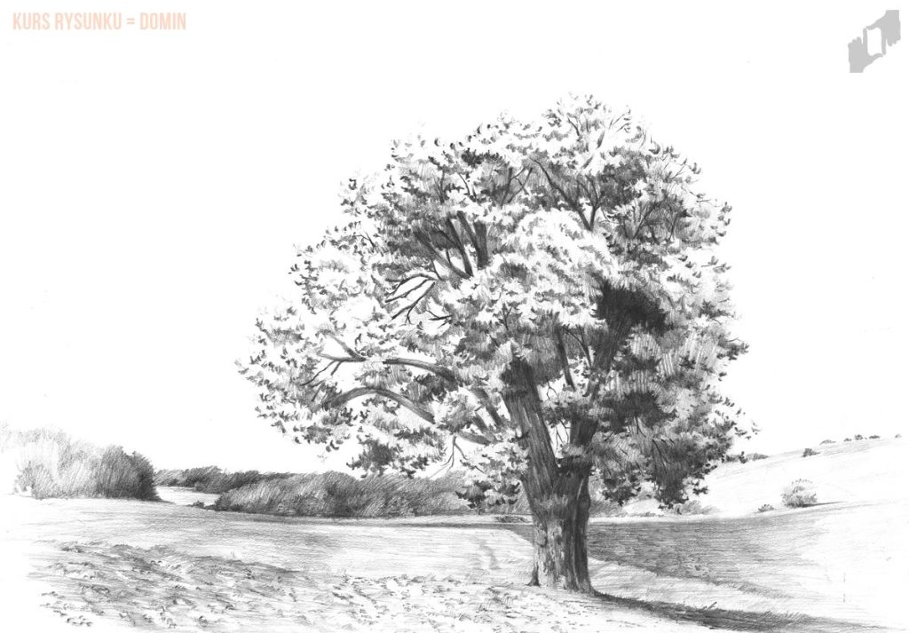 jak narysować ładne drzewo