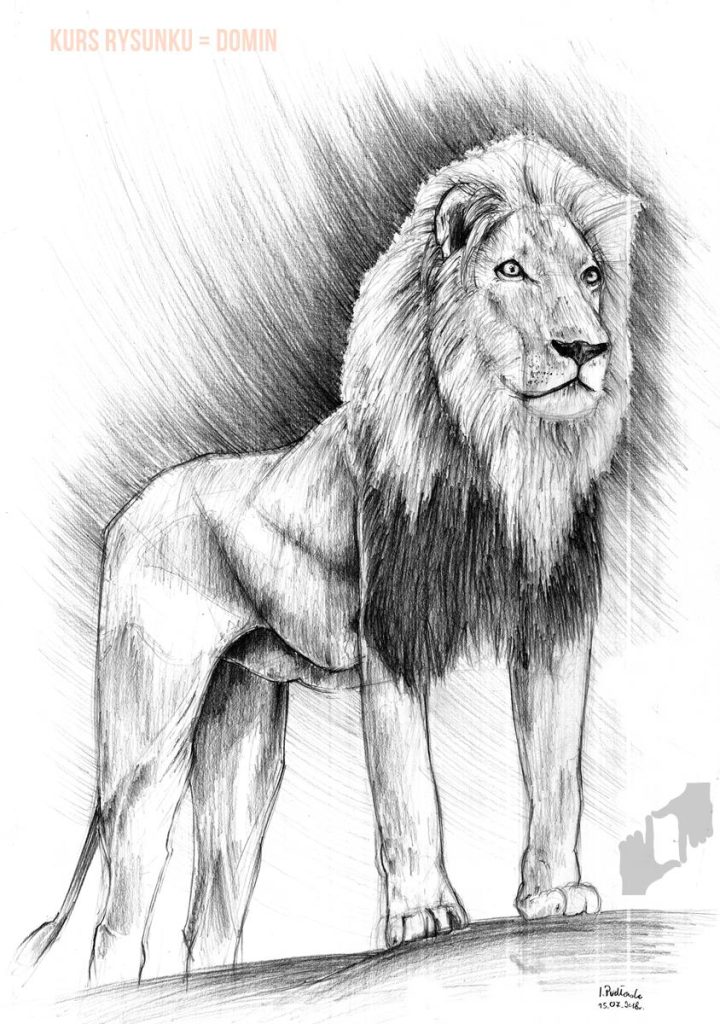 jak narysować lwa