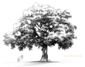 jak rysować drzewo