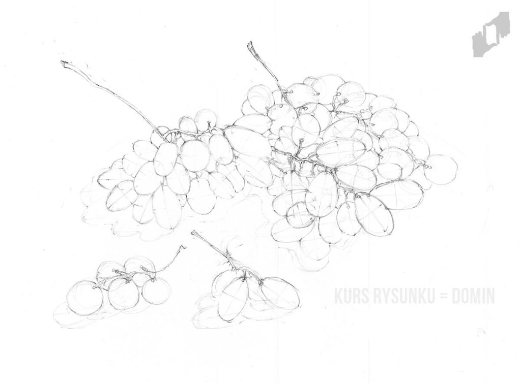 łatwe rysunki winogrona