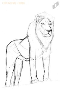 szkicowanie lwa ołówkiem