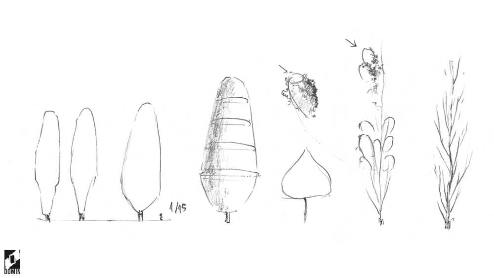 Jak rysować drzewa-topola-1-kurs rysunku online